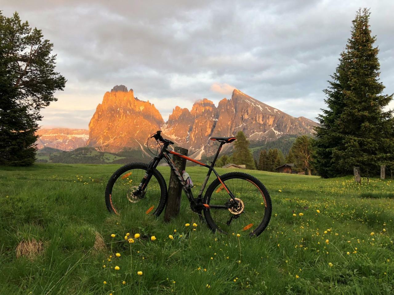 Saltria - Your Alpine Experience Seiser Alm Exteriör bild